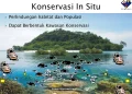 Pentingnya Pelestarian Ekosistem Laut dalam Konservasi Lautan
