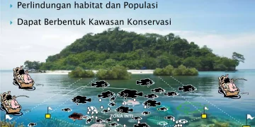 Pentingnya Pelestarian Ekosistem Laut dalam Konservasi Lautan