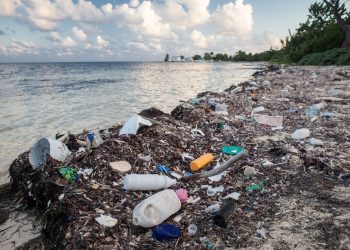 Pengertian dan Dampak Pencemaran Laut oleh Plastik atau Tumpahan Minyak