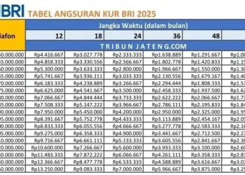 10 Persyaratan KUR BRI 2026 dan Cicilan Bulanan Pinjaman Rp50-80 Juta dengan Bunga 6% Tahunan