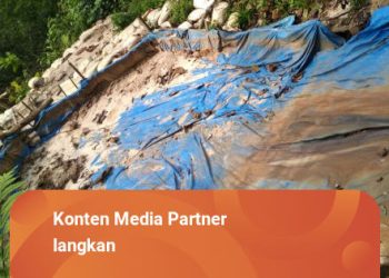 Jaksa Agung Diminta Tindak Lanjuti Kasus Tambang Ilegal untuk Menegakkan Kepatuhan Hukum