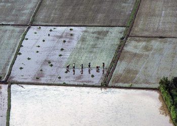 Defisit Rp100 Miliar Ancam Infrastruktur dan TPP Bontang