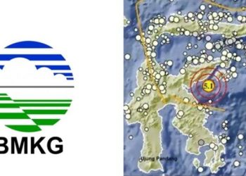 Gempa M 4.6 di Banggai Sulawesi Tengah, Update Terbaru BMKG