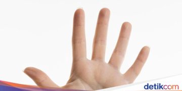 Ringkasan Peristiwa Hari Ini yang Paling Penting dan Terkini