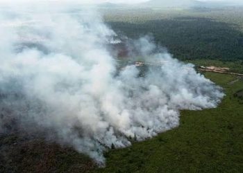9 titik panas di Riau, semua di Pelalawan