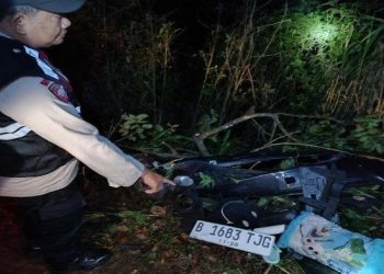 Dirut KAI: 7 Tewas, 81 Luka dalam Kecelakaan Kereta Argo Bromo dan KRL di Bekasi Timur