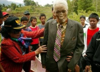 Tana Toraja: Tradisi Pemakaman Unik, Rumah Adat Tongkonan, dan Keindahan Perbukitan Hijau